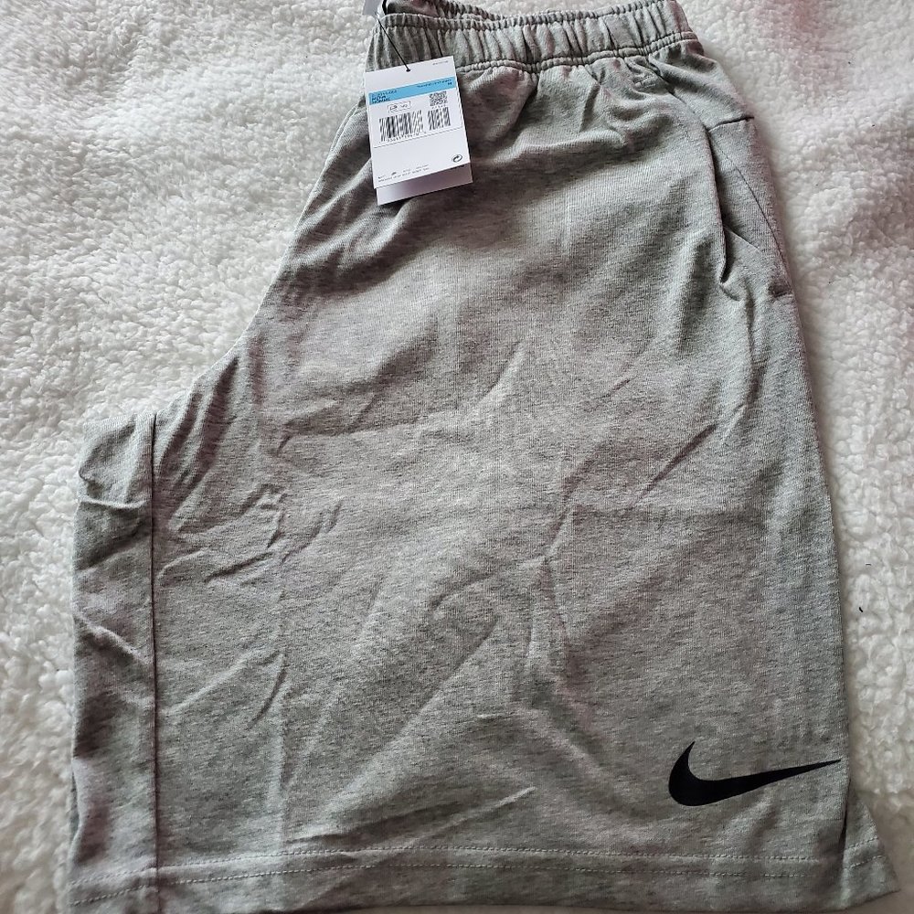 Nike Dri-FIT Men's Training Shorts in Grey